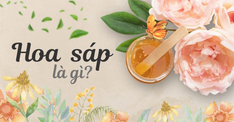 Hoa sáp là gì